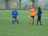 S.K.N.W.K. JO9-1 - Wolfaartsdijk JO9-1 JM (competitie) seizoen 2022-2023 (voorjaar - 4e fase)) (8/71)